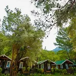 Green Pine Beach & Bungallows