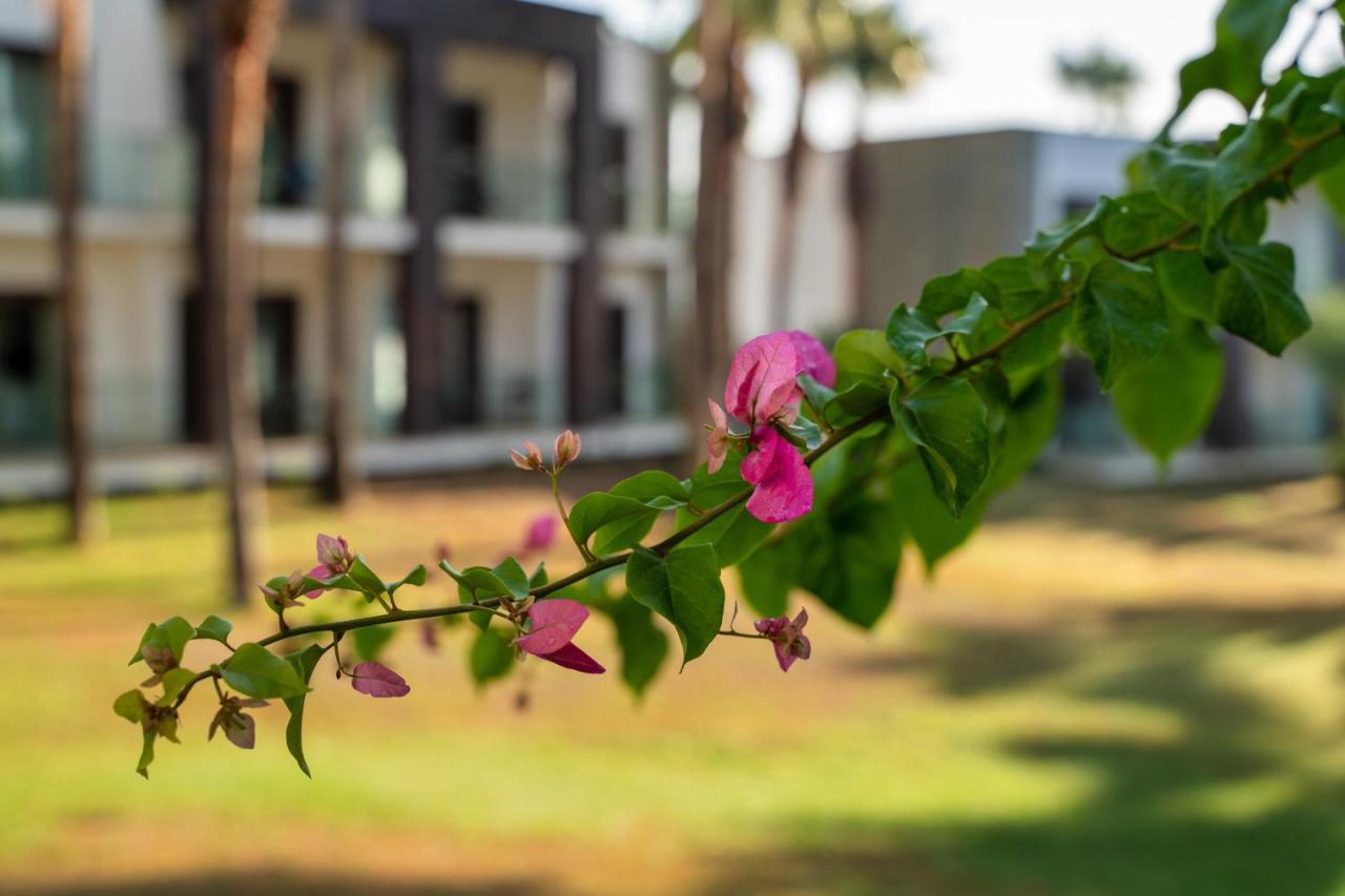 Hillstone & Hotel 5*
