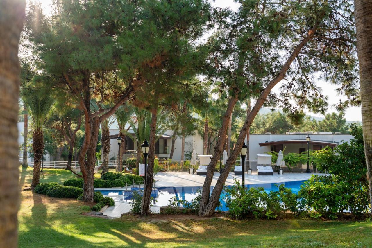 Hillstone & Bodrum