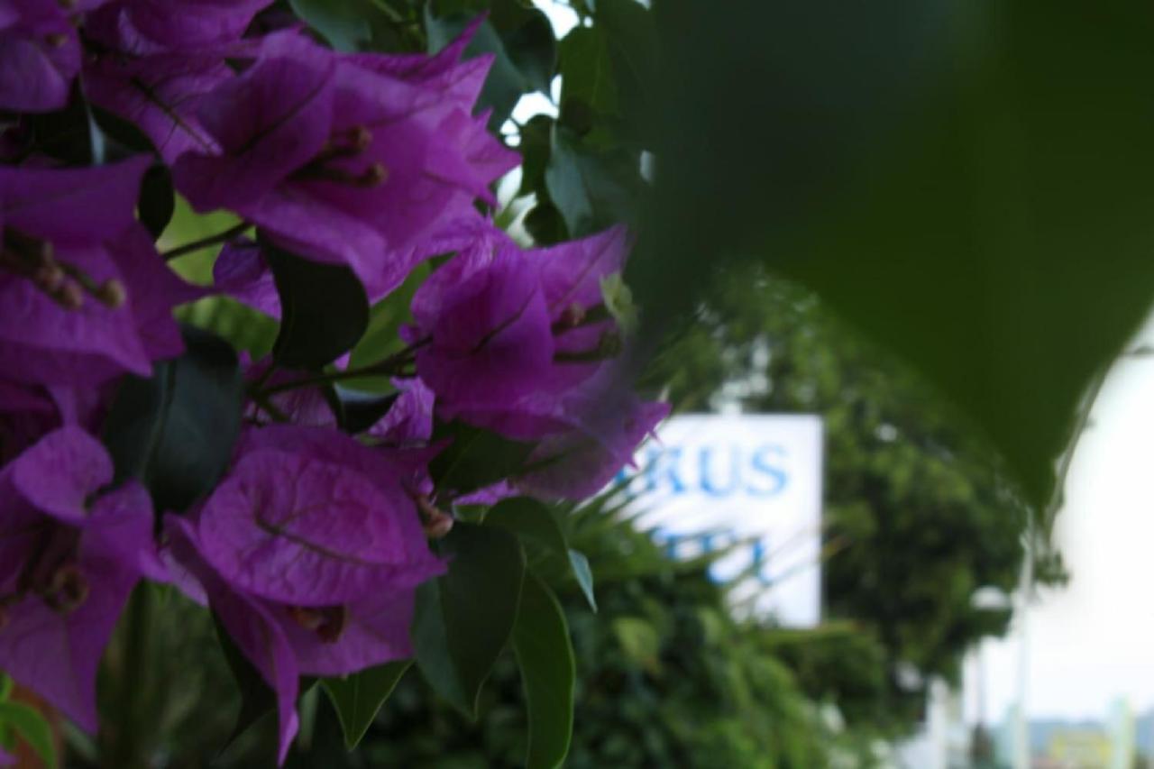 Hotel Parus 3*