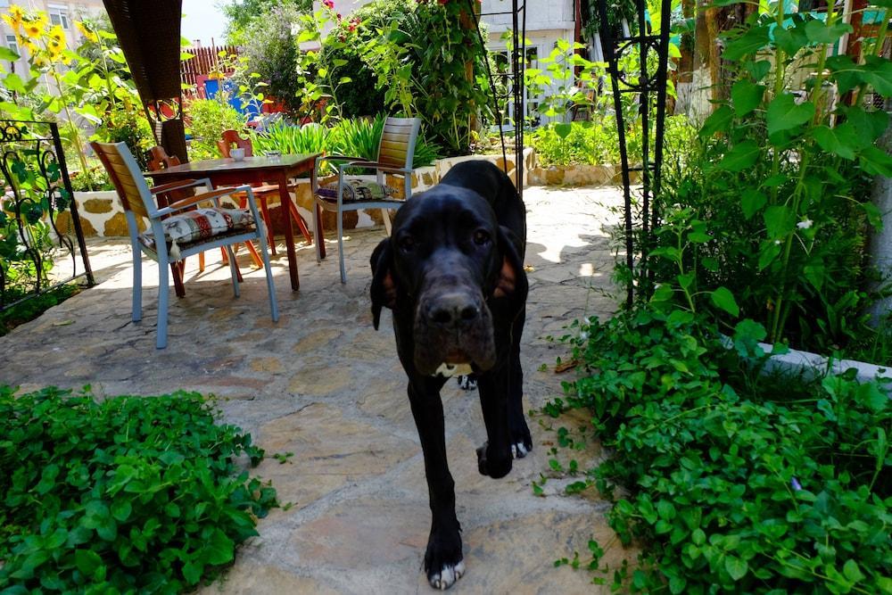 Hotel Erendiz Garden Kemer