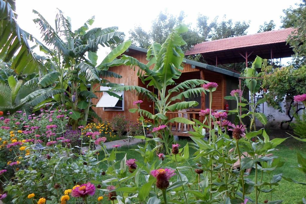 Estelar Guest house *
