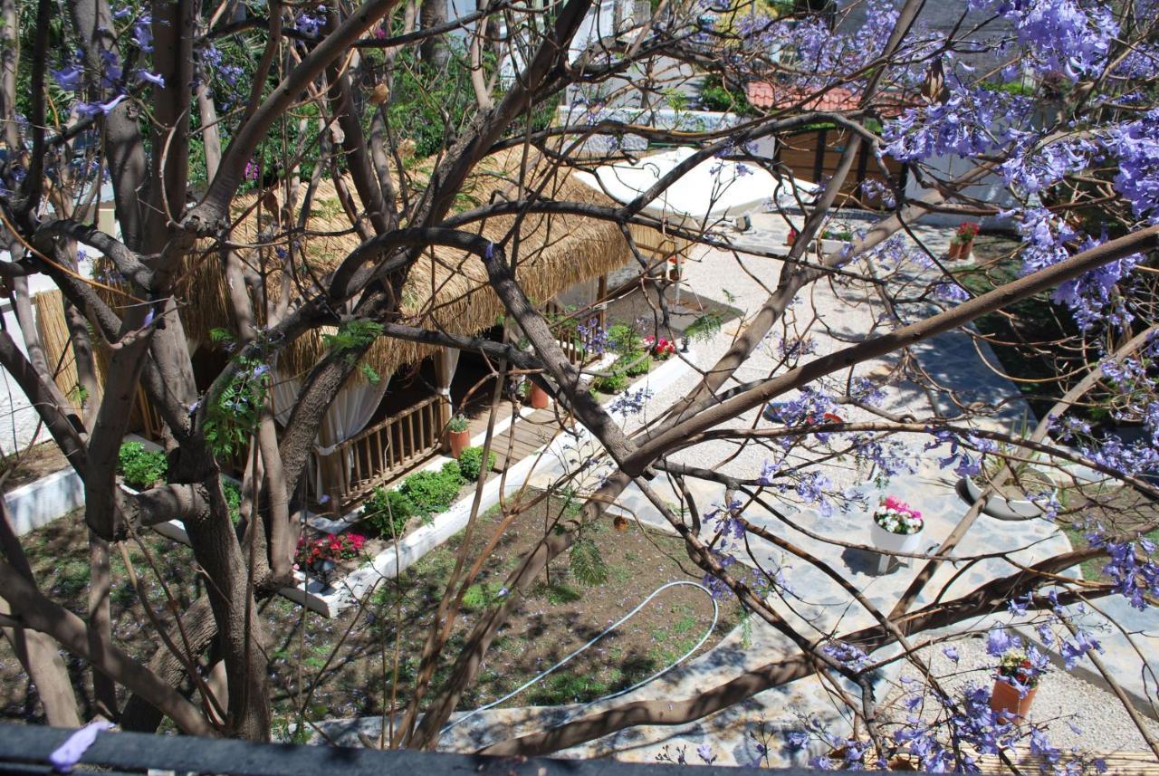 Serpina (adults Only) Hotel Bodrum