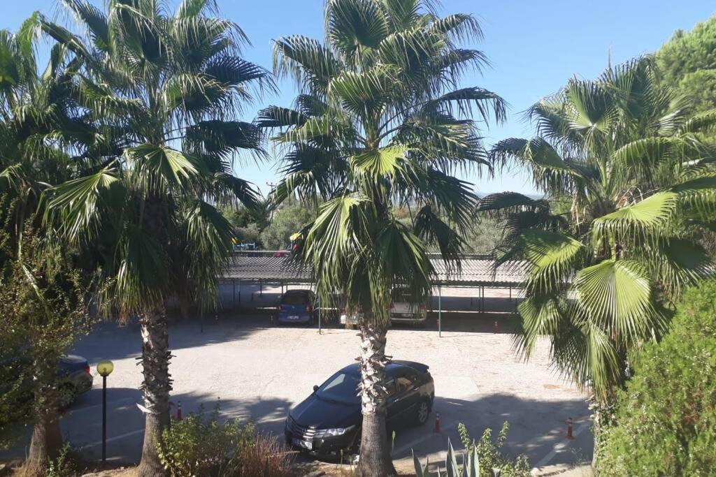 Holiday home Beyazit *