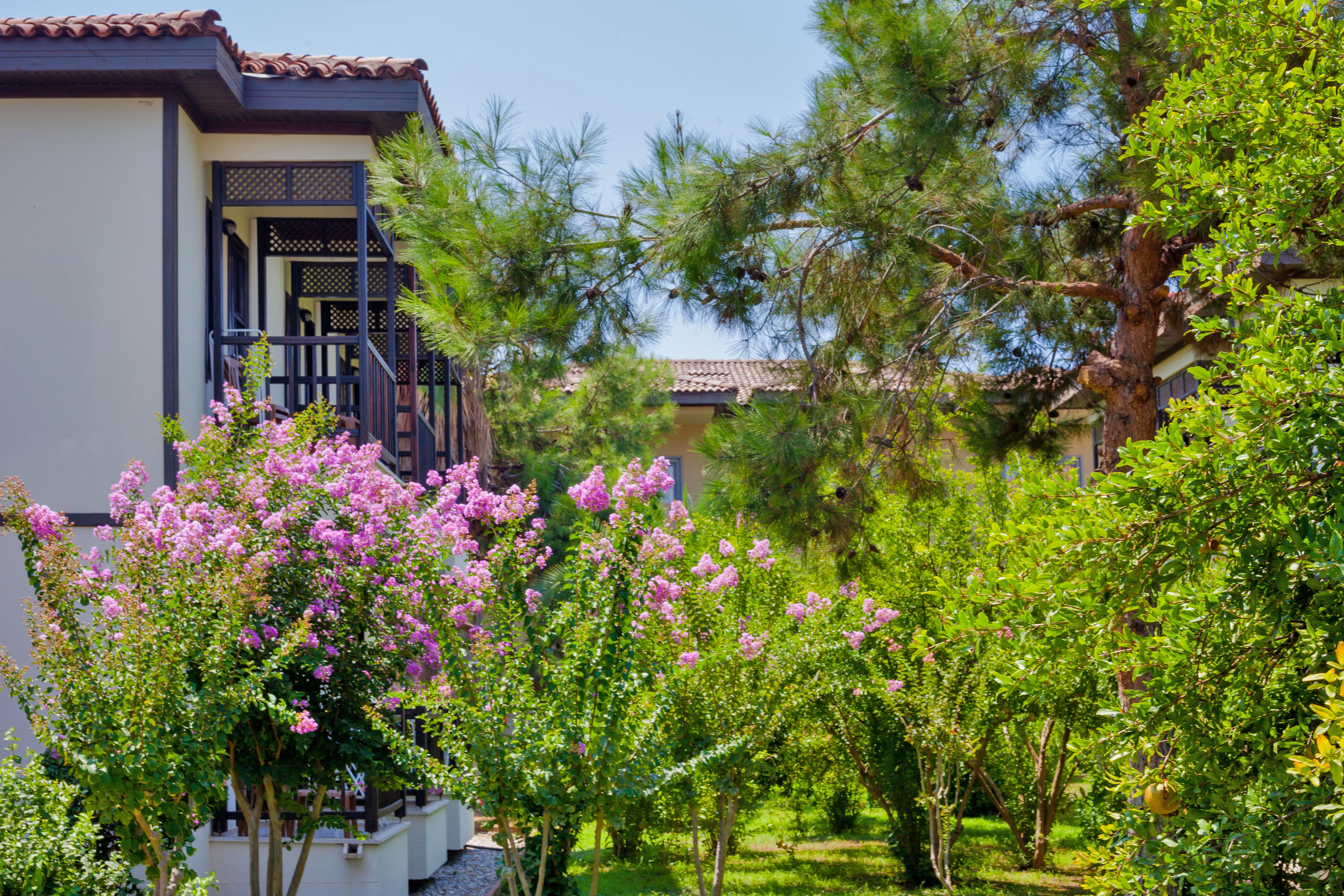 Club Nena Resort 5*