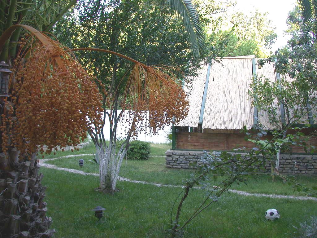 Hotel Ece 