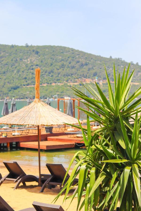 Moyo Luxury & Hotel