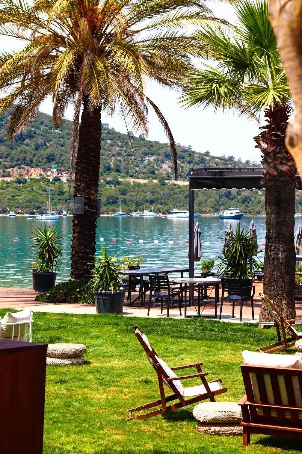 Hotel Moyo Luxury &