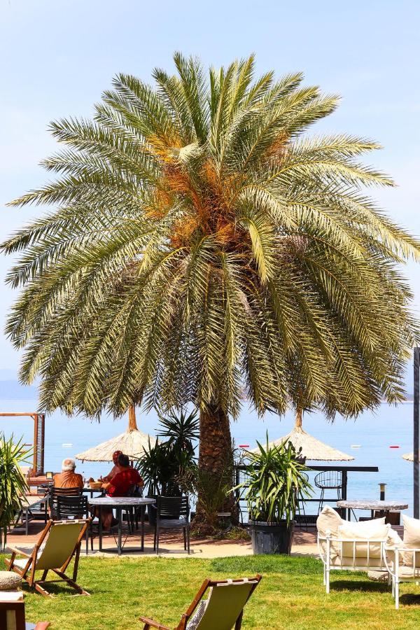 Hotel Moyo Luxury &