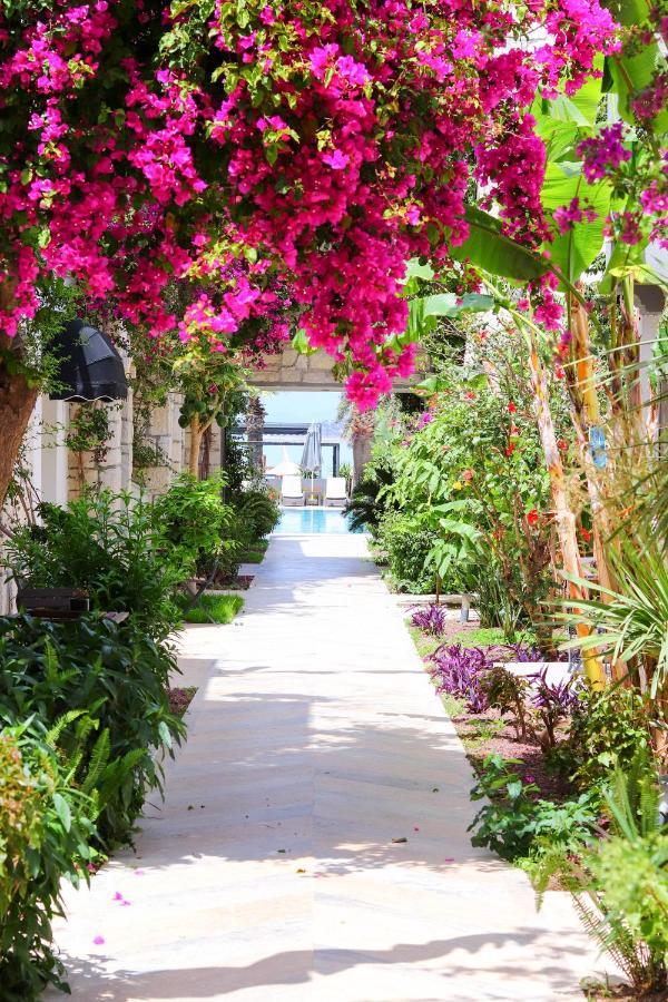 Moyo Luxury & 3* Bodrum