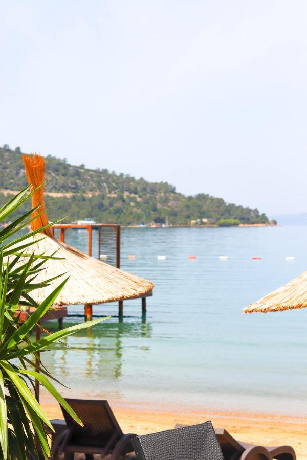 Moyo Luxury & Hotel Bodrum