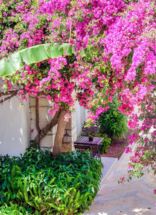 Hotel Moyo Luxury &
