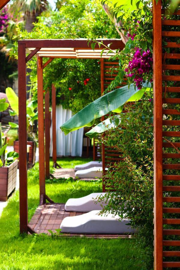 Moyo Luxury & Bodrum
