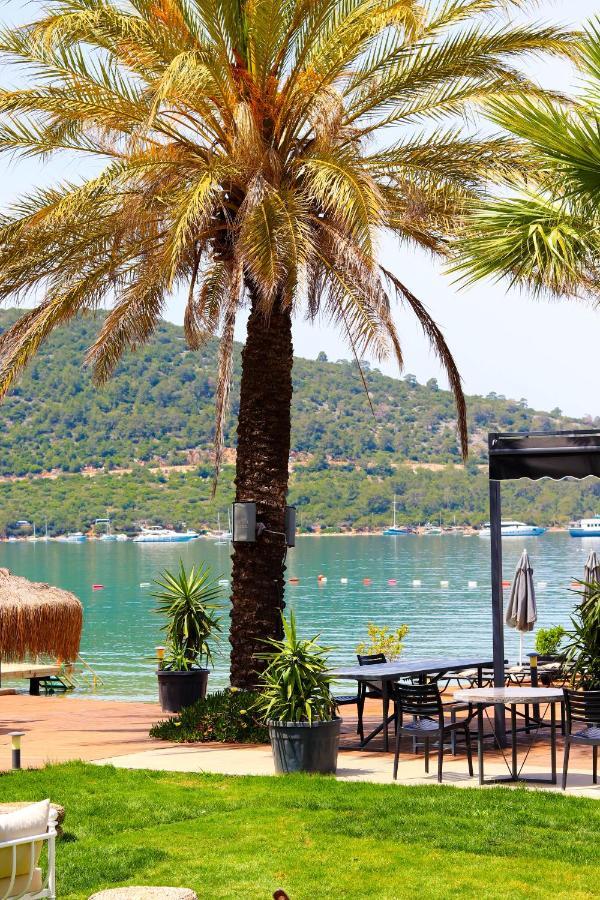 Moyo Luxury & Bodrum