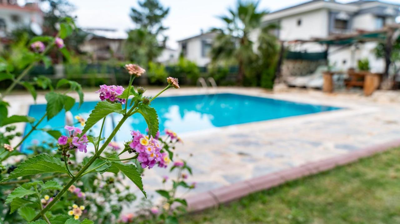 Spacious With Sea And Mountain View Villa