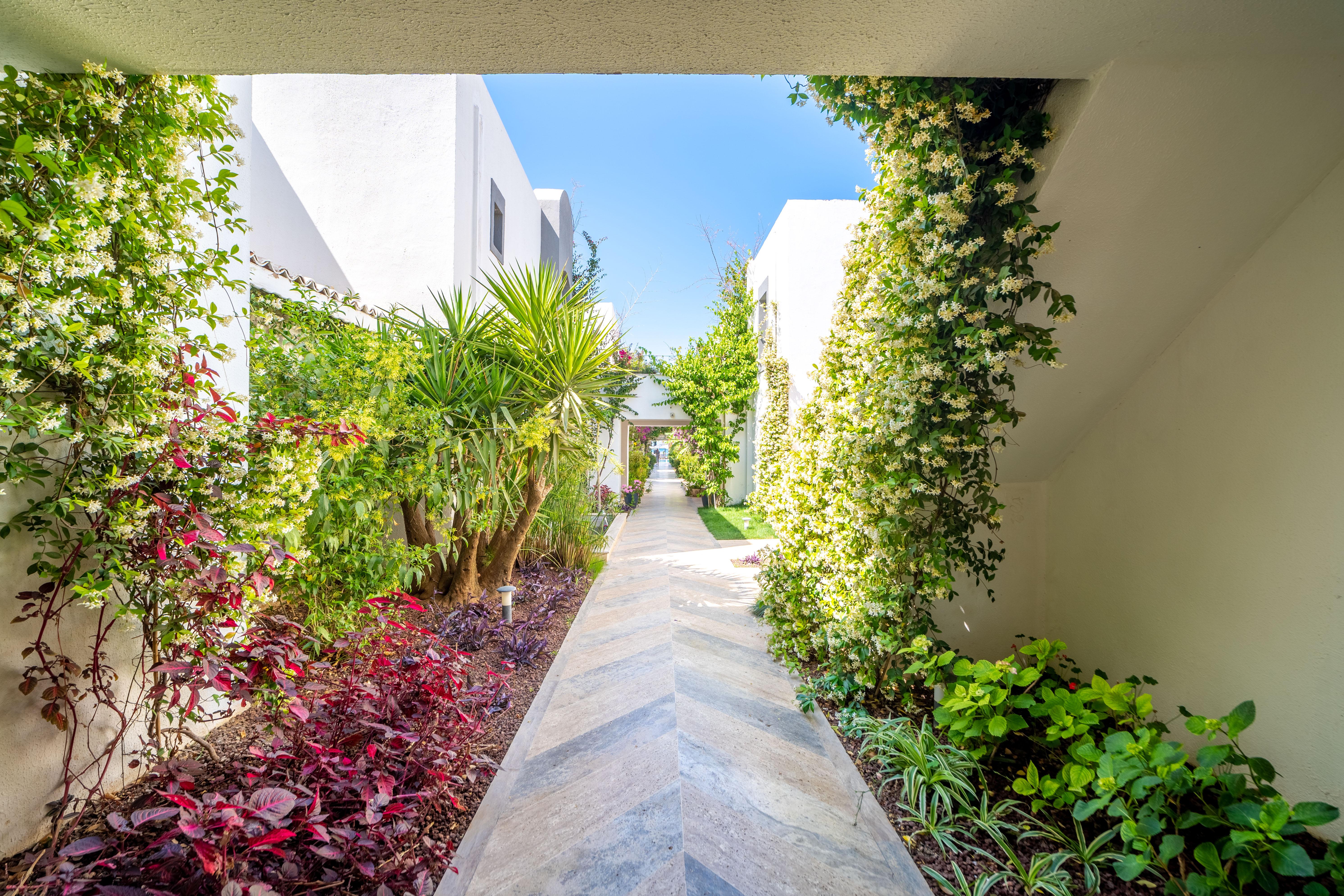 Moyo Luxury & Hotel
