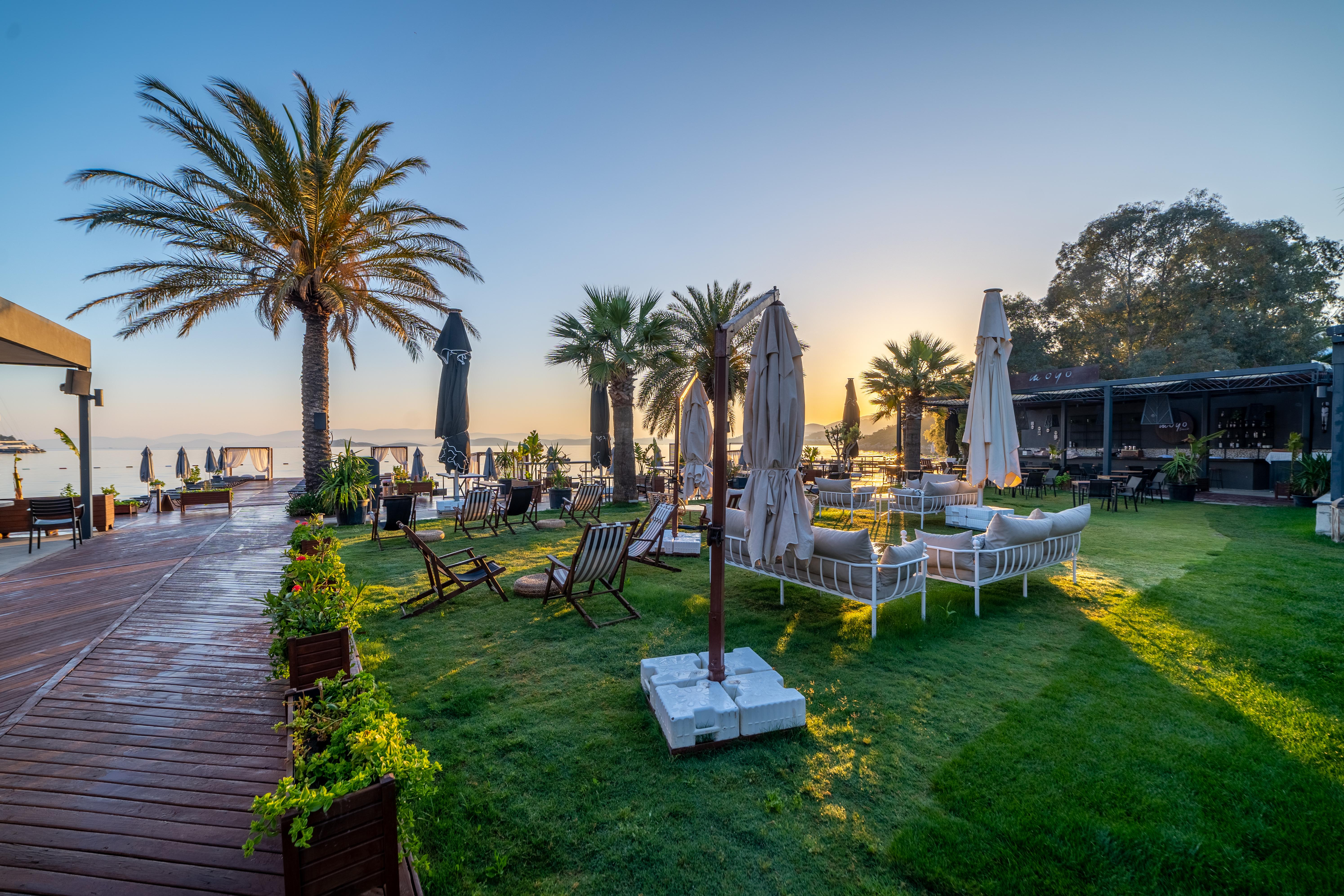Moyo Luxury &