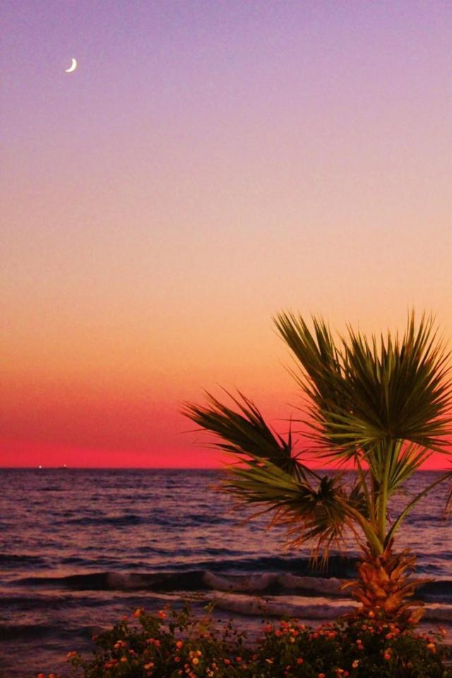 Hotel Ladies Beach 3*