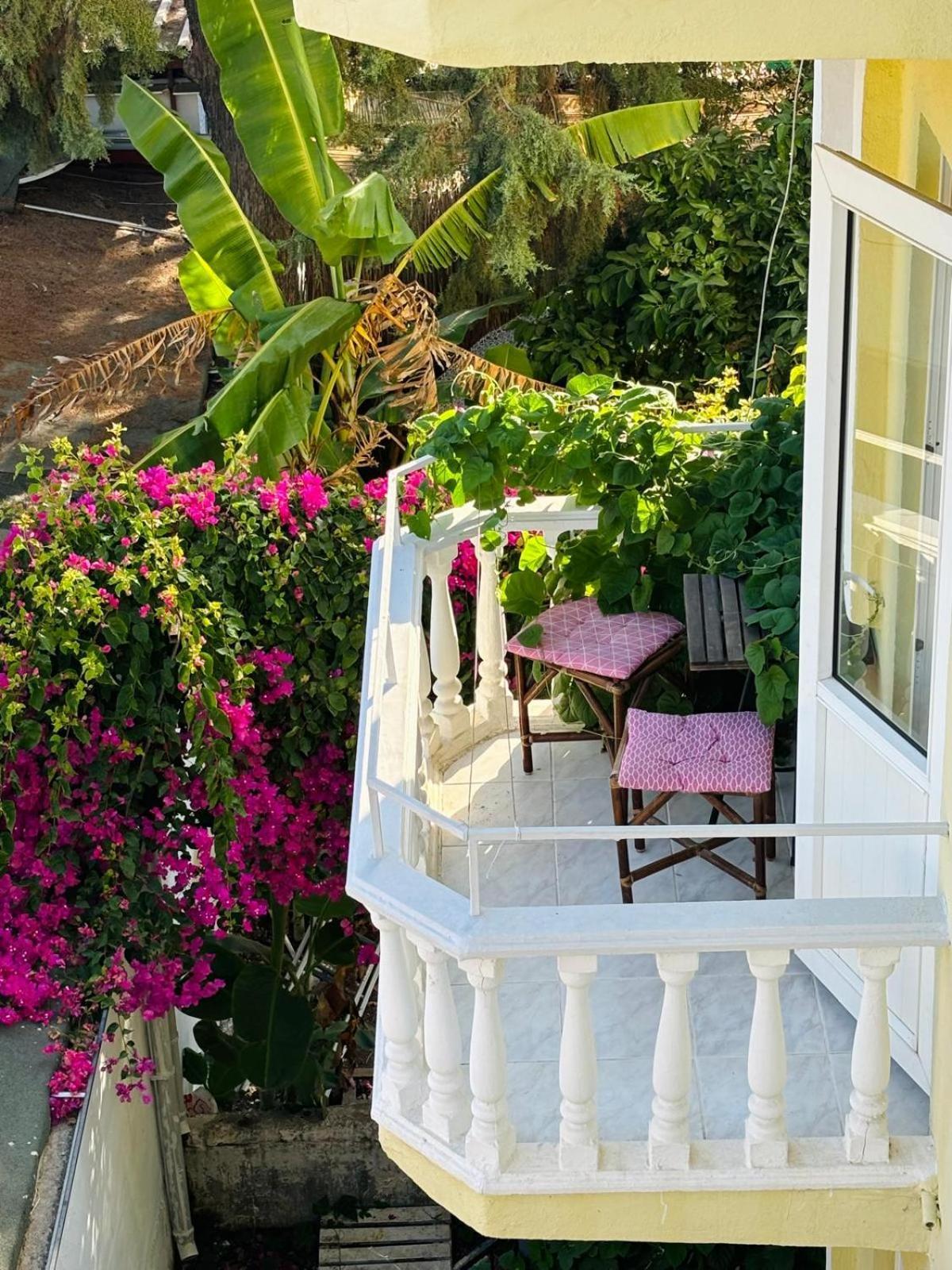 Hotel Limon