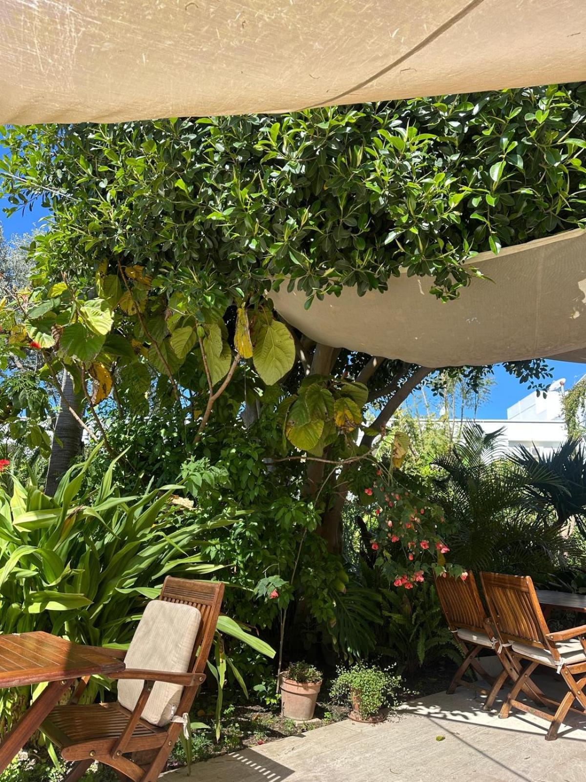 Karia Princess Hotel