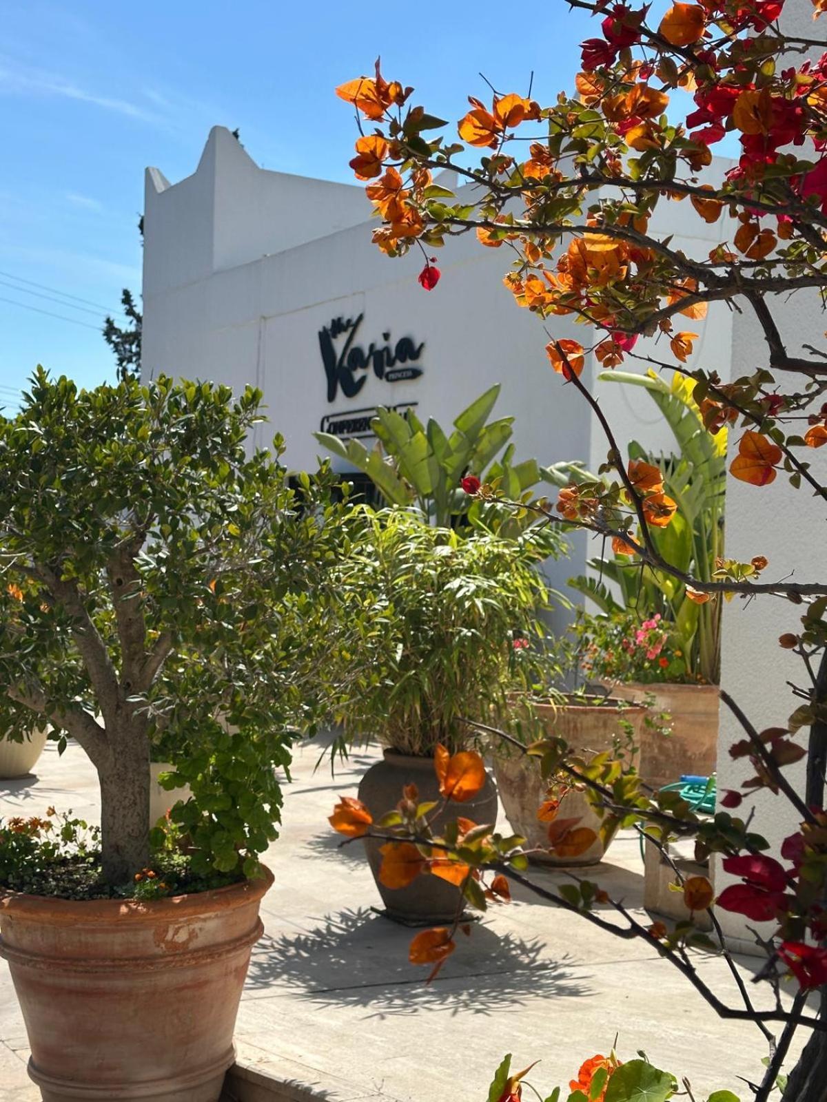 Hotel Karia Princess