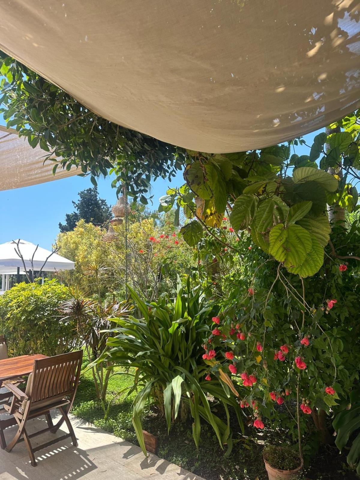 Karia Princess Bodrum