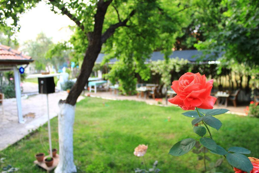 Sirin Bed & Breakfast