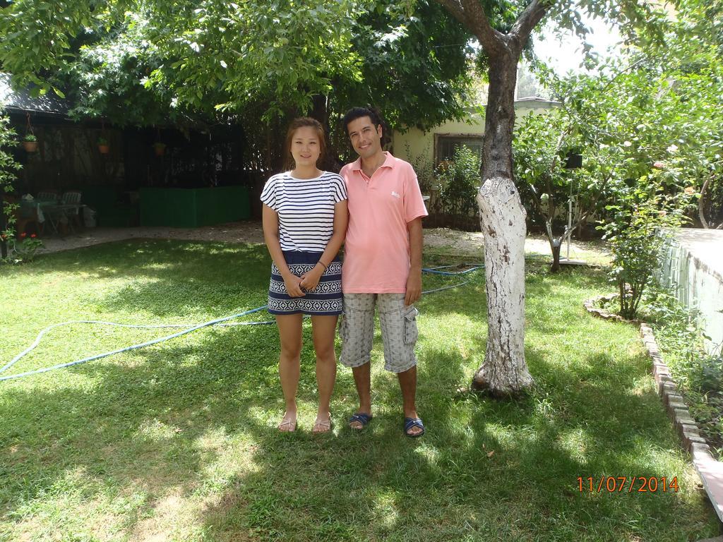 Sirin 2*