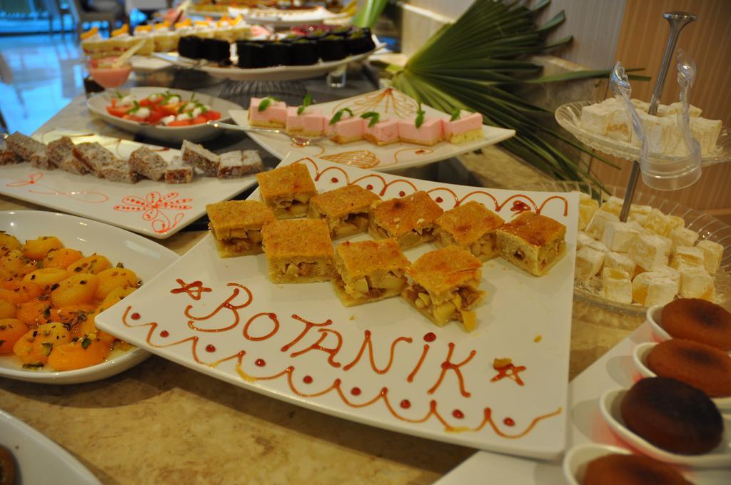 Elamir Hotel Kemer