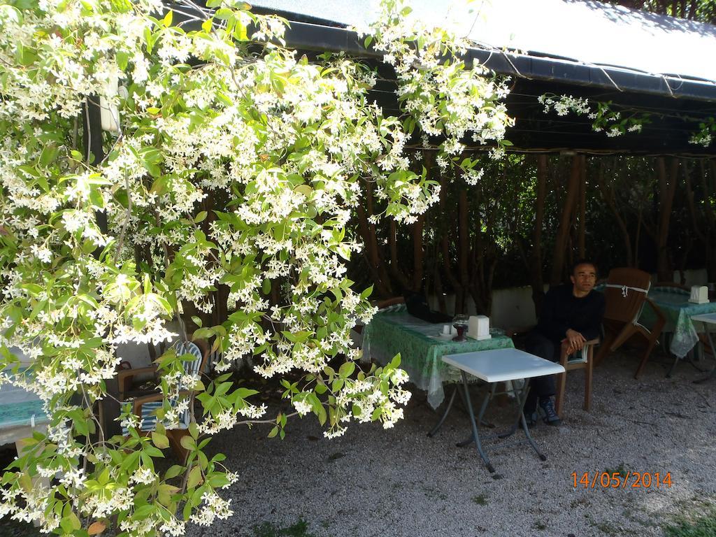 Bed & Breakfast Sirin