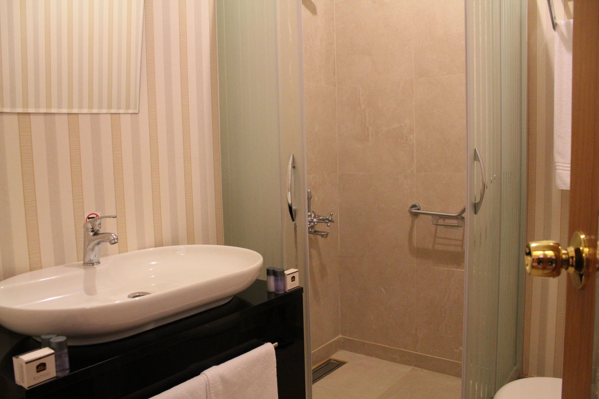 Hotel Bakirkoy Tashan Business & Airport