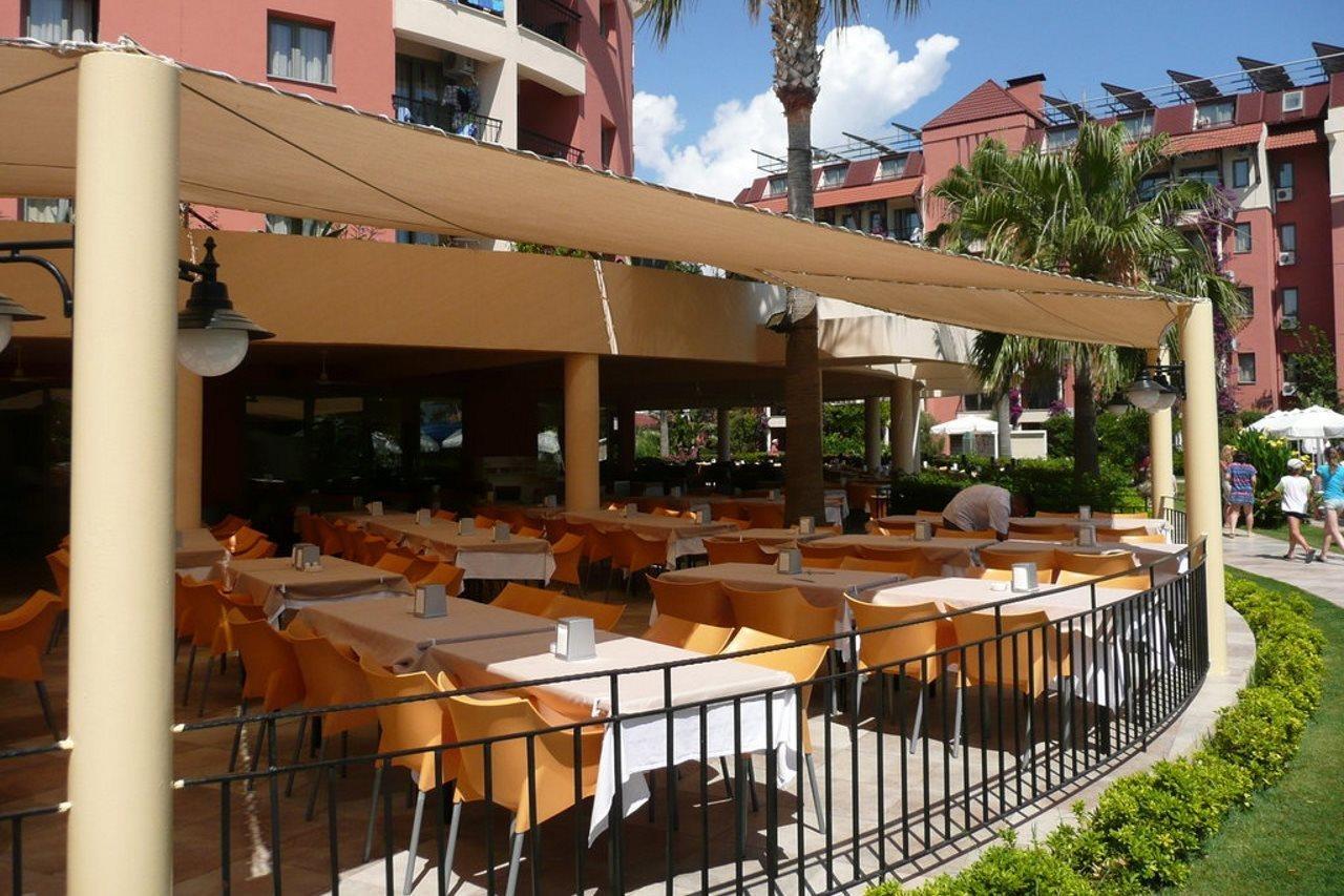 Palmeras Ultra 5*