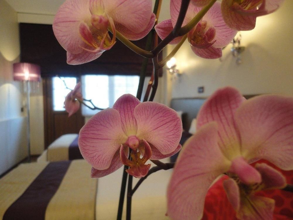 Bakirkoy Tashan Business & Airport Hotel 2*