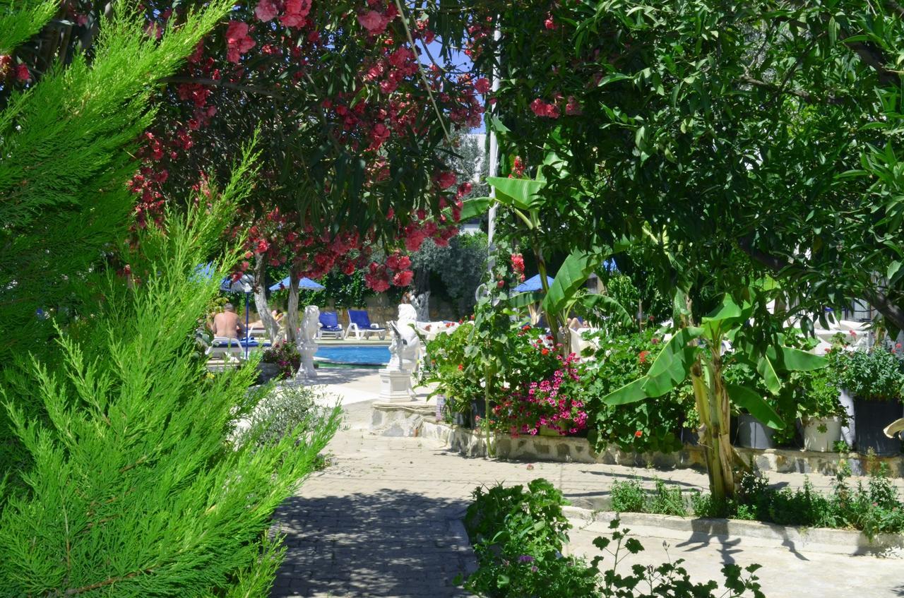 Hotel Ali Baba 2*