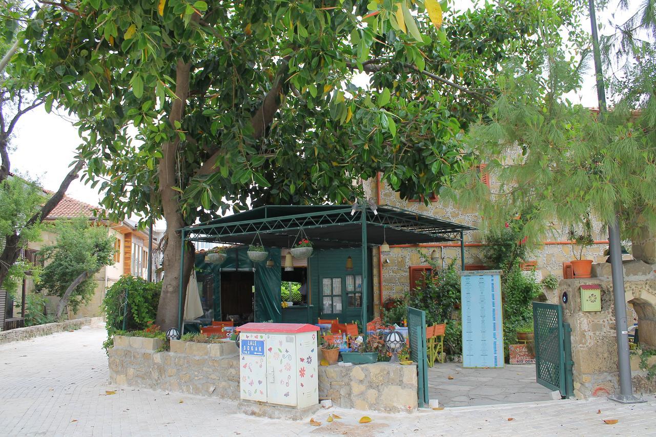 Doga Pension