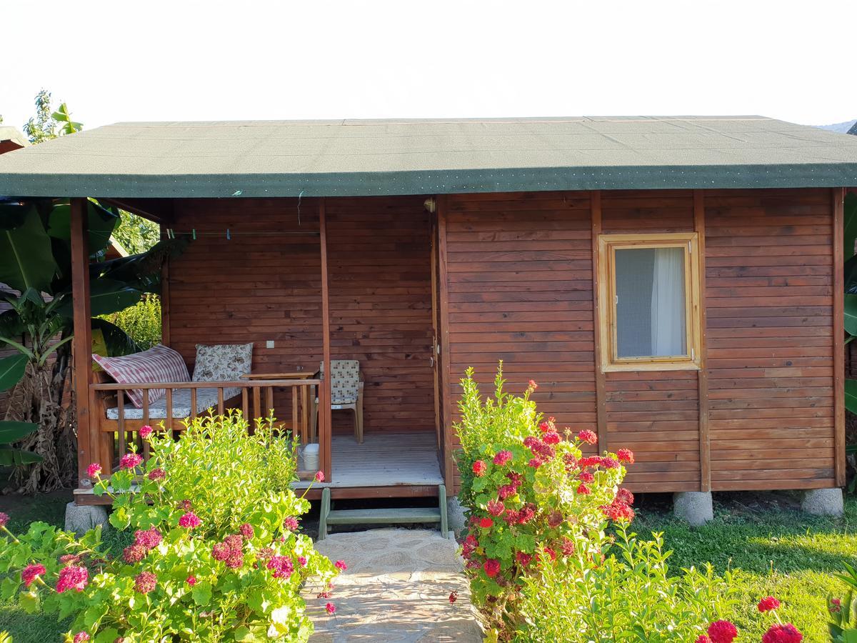 Estelar Guest house