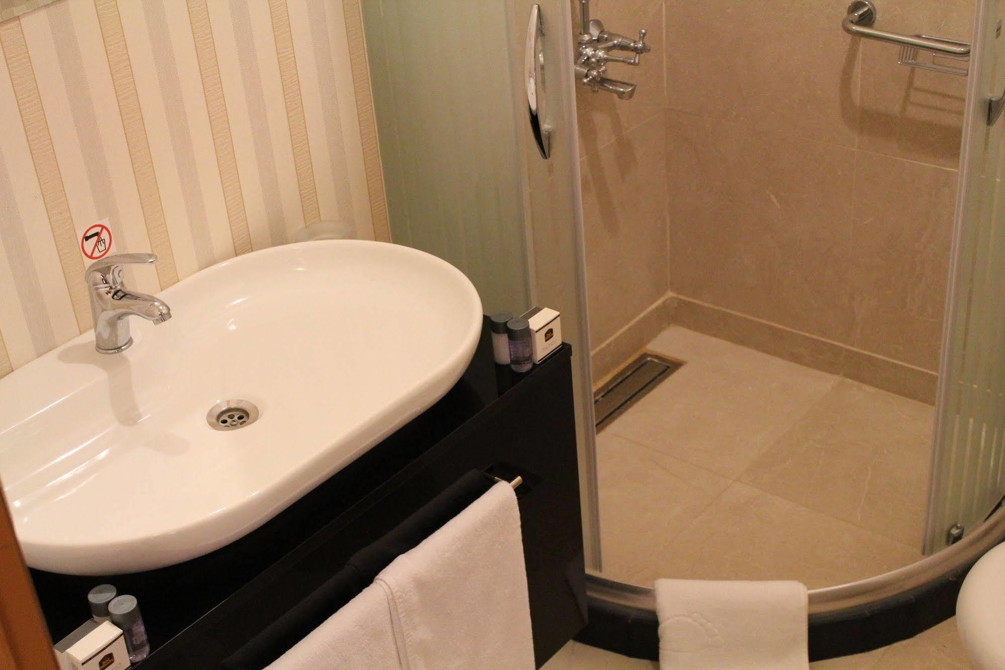 Bakirkoy Tashan Business & Airport Hotel 2*