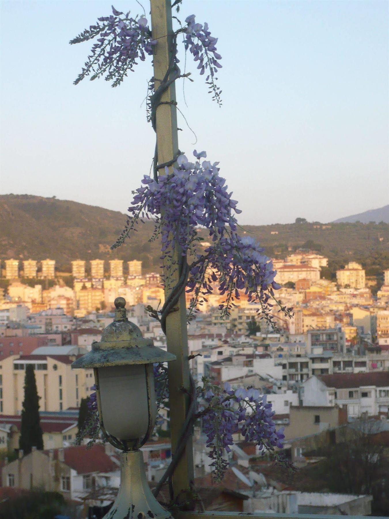 Anzac Golden Bed * Kusadasi