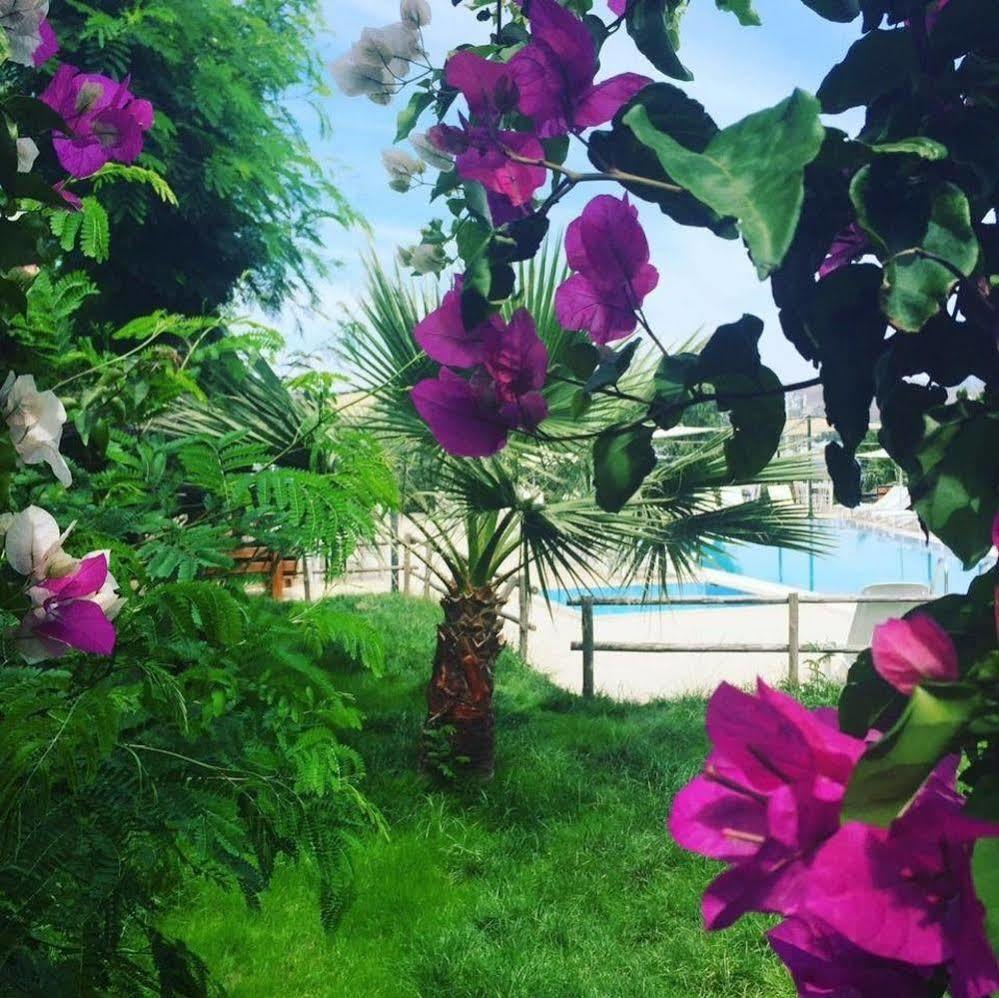 Marina Hotel 3*