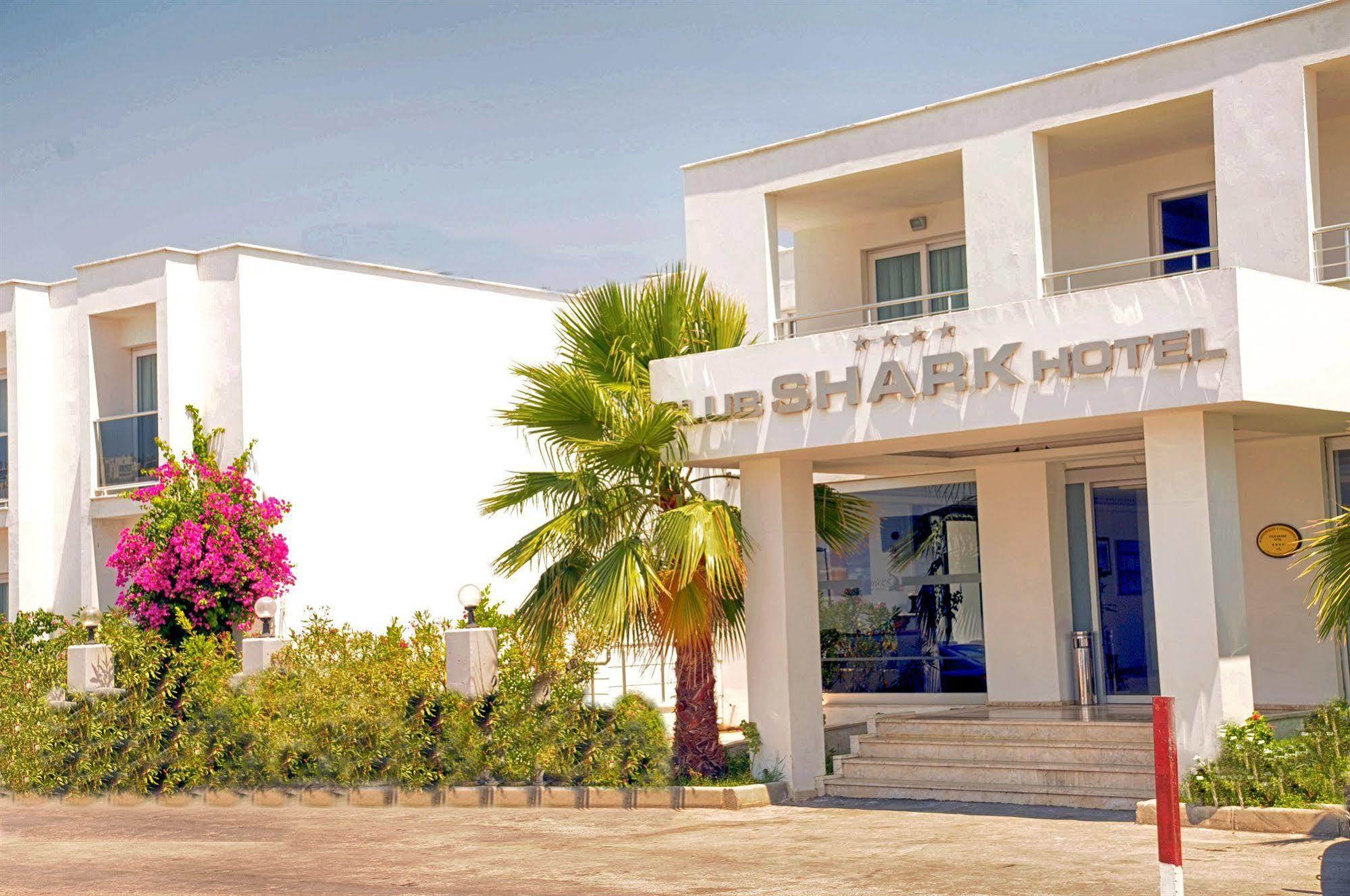 Hotel Club Shark