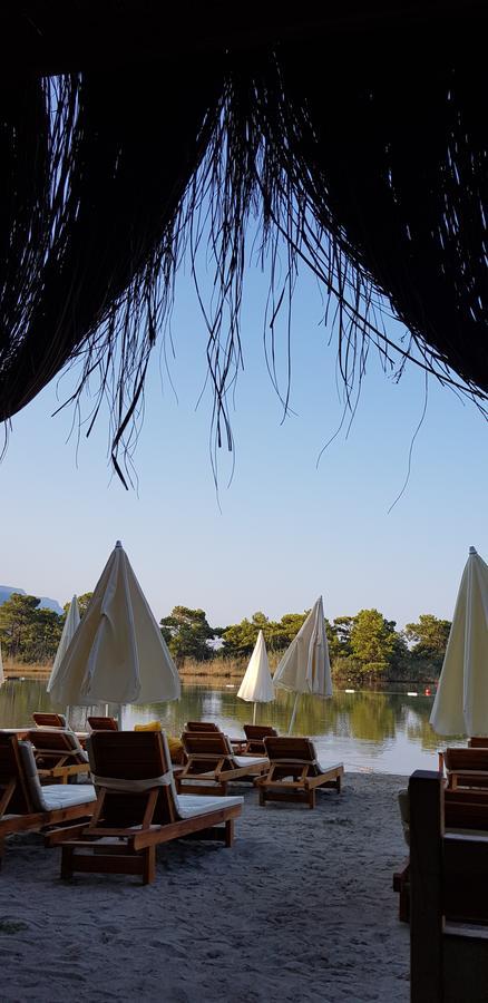 Pine & Bungallows 4*