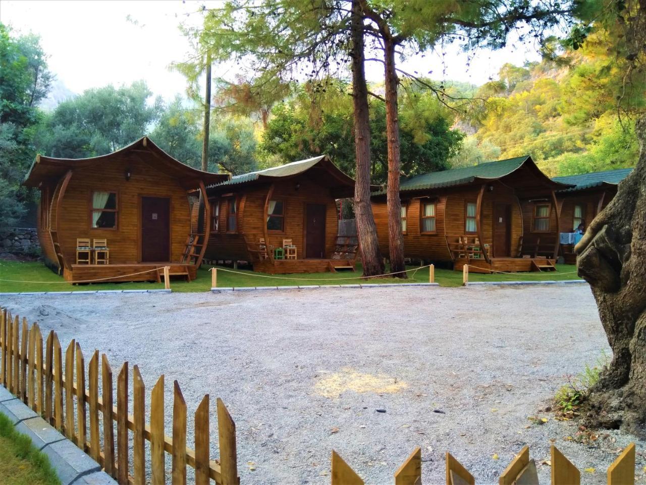 Pine & Bungallows