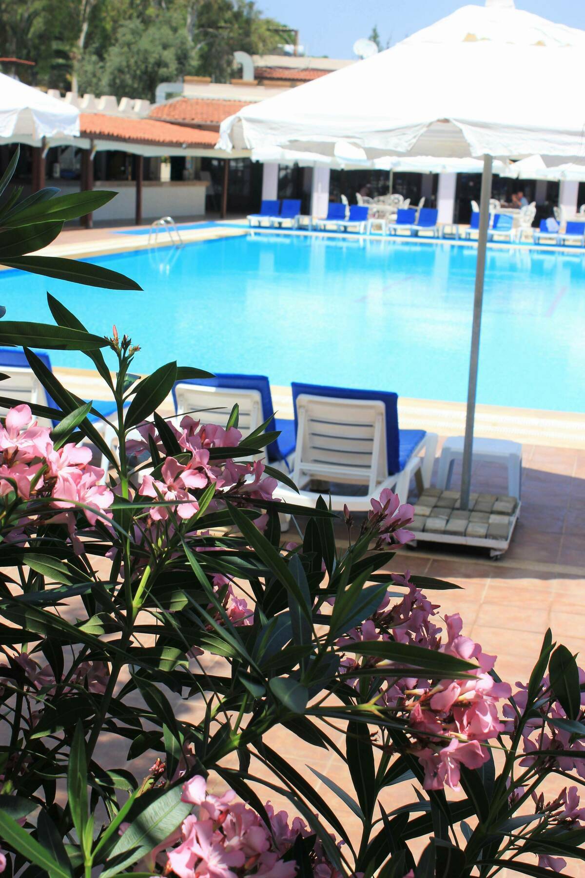 Resort Pigale Family Club