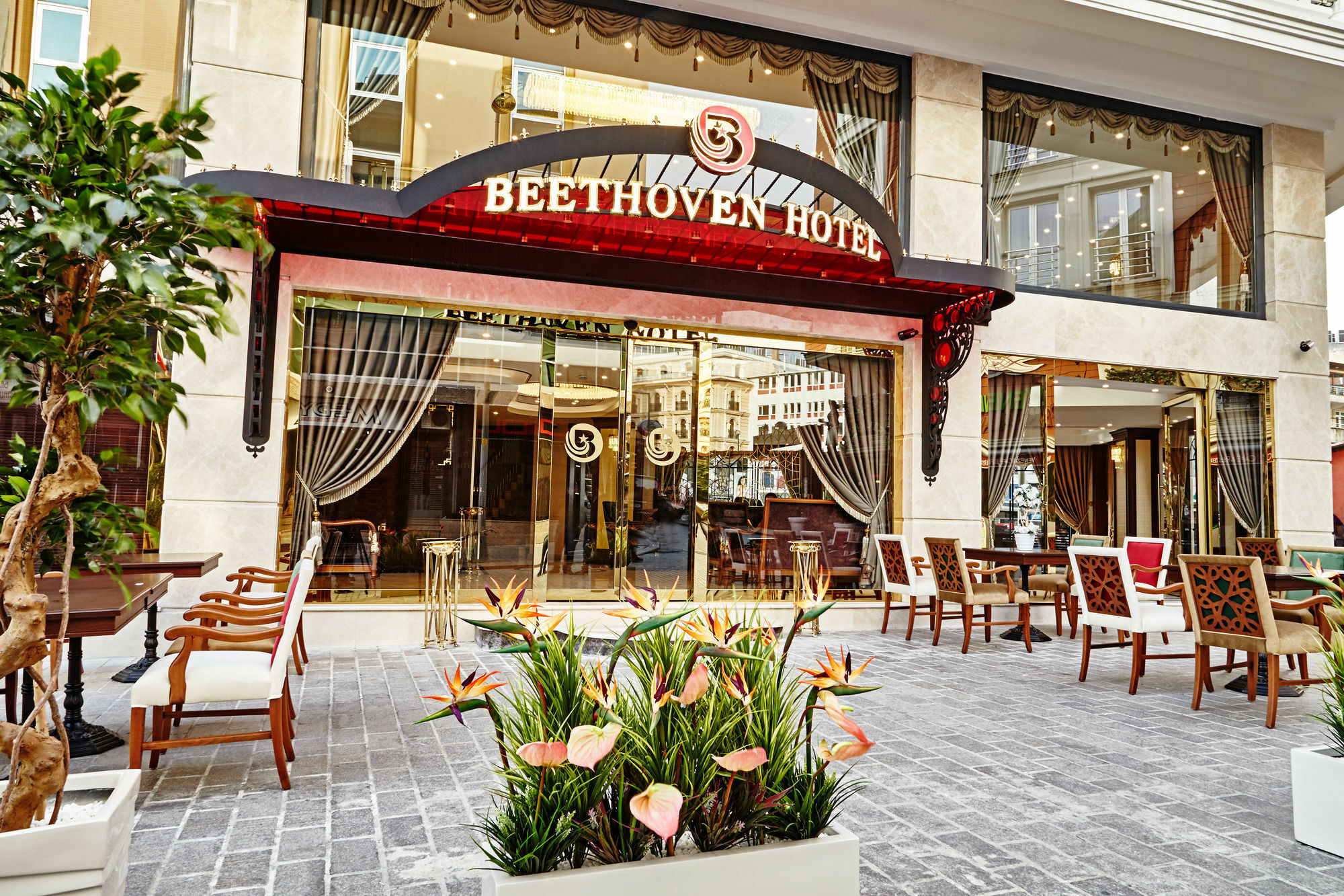 Beethoven - Special Category