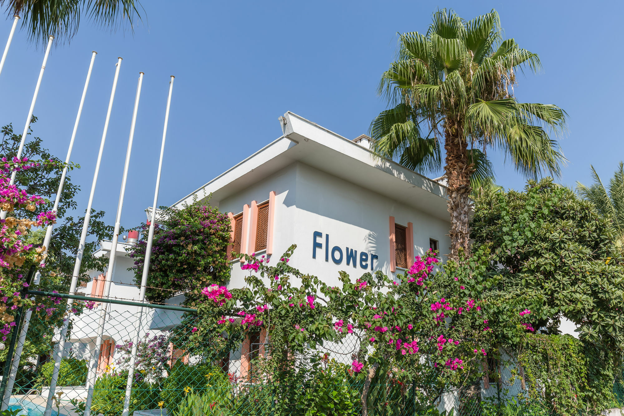 Flower Apart * Kemer