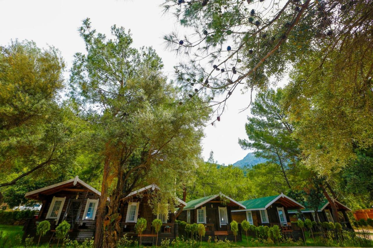 Pine & Bungallows