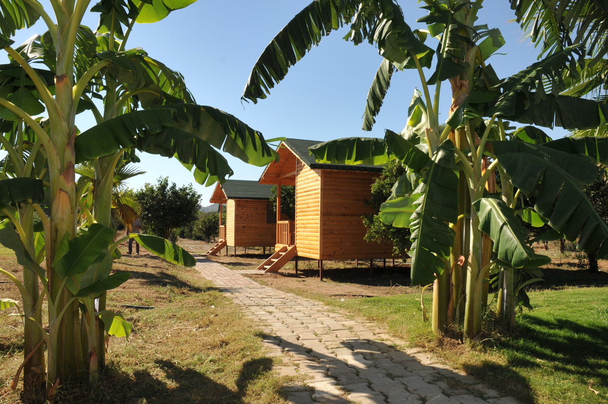 Hotel Elamir