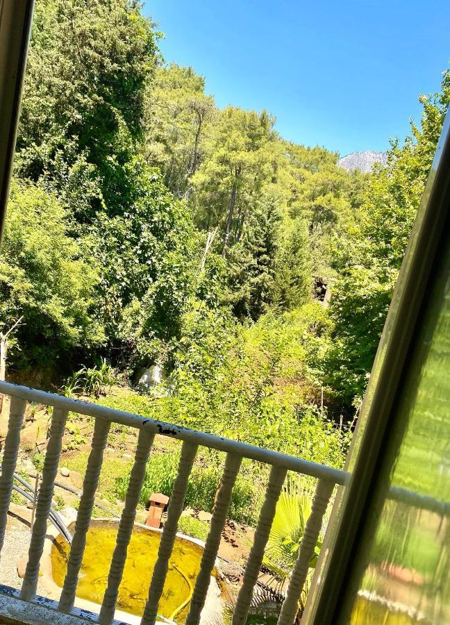 Gera Flora Holiday home Kemer