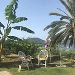 Gala Selimiye