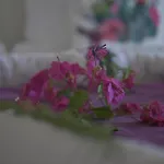 Kemerlihan Deluxe Hotel